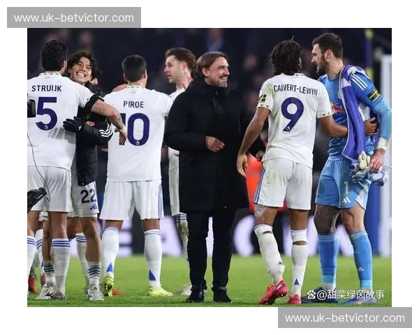 白玫瑰的怒放与蓝狐的优雅:利兹联vs莱切城,这一夜埃兰路没有失败者
